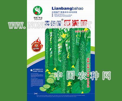 真把握瓜满架